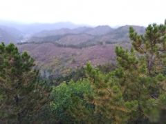 -紫海香堤香草艺术庄园