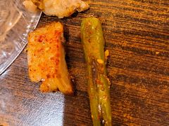 -金刚山烧烤(红旗大街店)