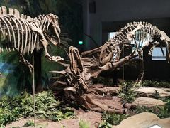 -自贡恐龙博物馆