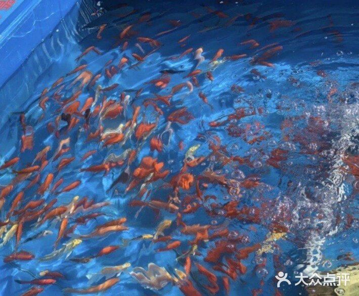 春日遛娃，就去动物乐园！