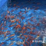 春日遛娃，就去动物乐园！