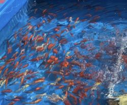 -萌宠亲子动物乐园(槐房万达店)