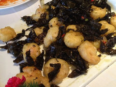 iphone_upload_pic-茉莉