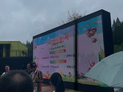 -黄海国家森林公园