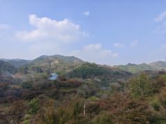 -四明山国家森林公园