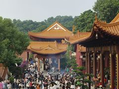 -深圳仙湖植物园