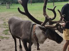 -北极村旅游风景区
