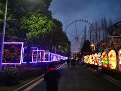-锦江乐园舞狸花花游园会(夜场专享)