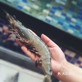 这家酒店的餐厅生意很火爆，中国人开的