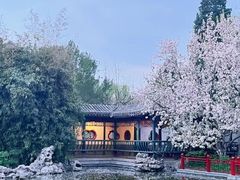 -月坛公园