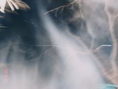 -御林汤泉