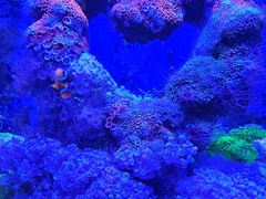 -海合安武汉极地海洋公园