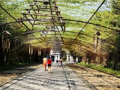 -森波拉火山温泉