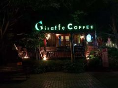 -清迈夜间动物园