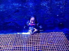 -石家庄极地海洋世界