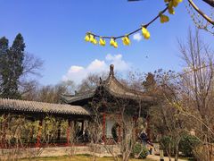 -迎泽公园