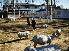 -九十九顶毡房(阜石路店)