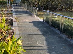 -白塘生态植物园