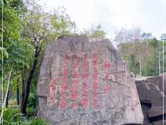 -神光山国家森林公园