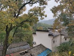 -塔川景区