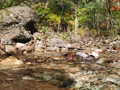 -玉渡山自然风景区