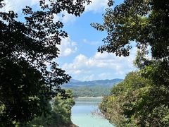 -广州市流溪河国家森林公园