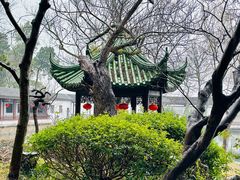 -无锡蠡湖国家湿地公园-蠡园