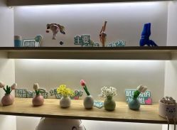 -1001普拉提运动