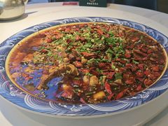 -新概念来凤鱼(璧山店)
