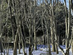 -北京奥林匹克公园