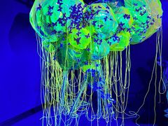 -成都许燎源现代设计艺术博物馆