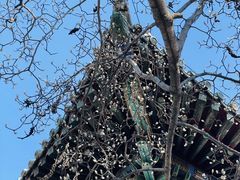 -潭柘寺景区