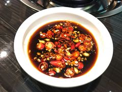 -东椰·海南椰子鸡火锅(朝阳门店)