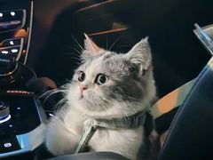 -人民公园-相亲角