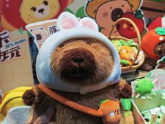 -酷乐潮玩(五道口购物中心店)