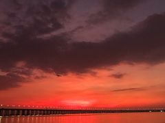 -宝安西湾红树林湿地公园