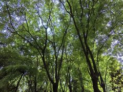 -木塔寺遗址生态公园