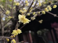 -钱王祠