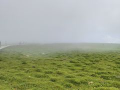 -芦芽山旅游度假区
