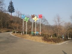 -南京老山国家森林公园