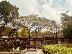 -顺峰山公园