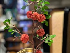 -长安大牌档之龙头酒肆(荣民龙首广场店)