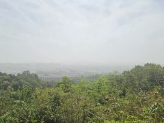 -火炉山森林公园