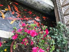 -老洋房花园饭店(绍兴路店)