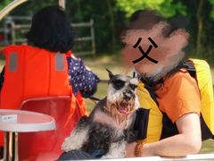 -上海海湾国家森林公园