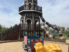 -上海长兴岛郊野公园