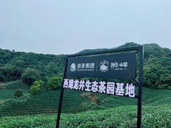 -龙坞茶村