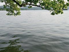 -西湖游船