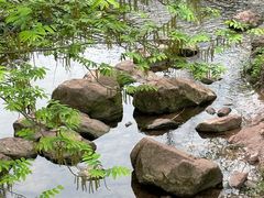 -重庆彩云湖湿地公园