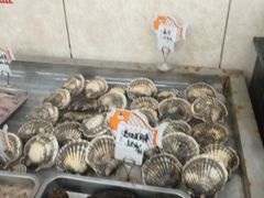 -渔民船说·北塘海鲜·天津菜·海肠捞饭(北塘古镇店)